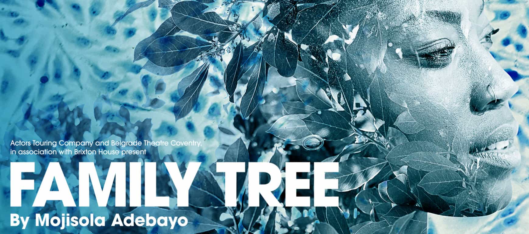 Review: Family Tree at Theatre Royal Plymouth
